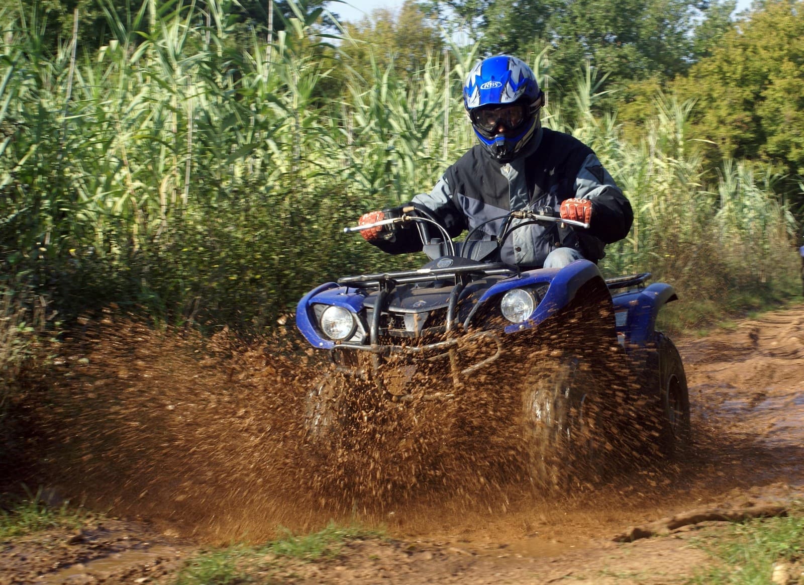 Quad 7